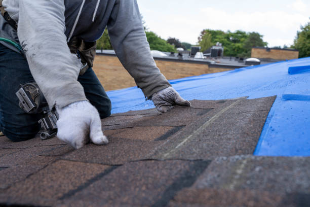 Best Roof Maintenance Services  in Whitg, IN
